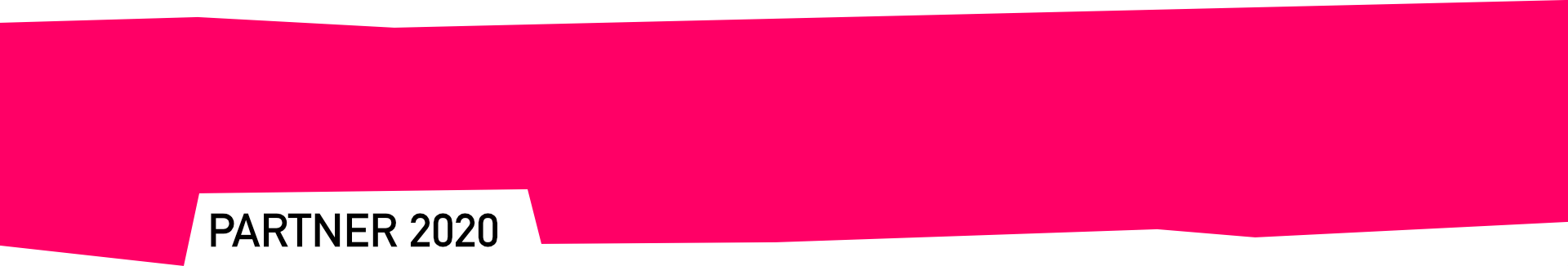wzd_divider-partner-2020-ph_1080